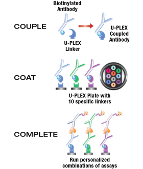 U-PLEX Step Diagram